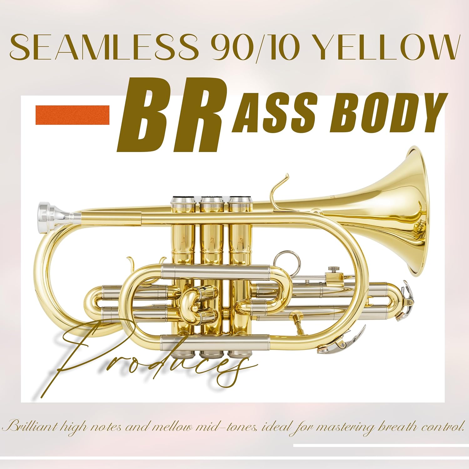 Bb Cornet Kit