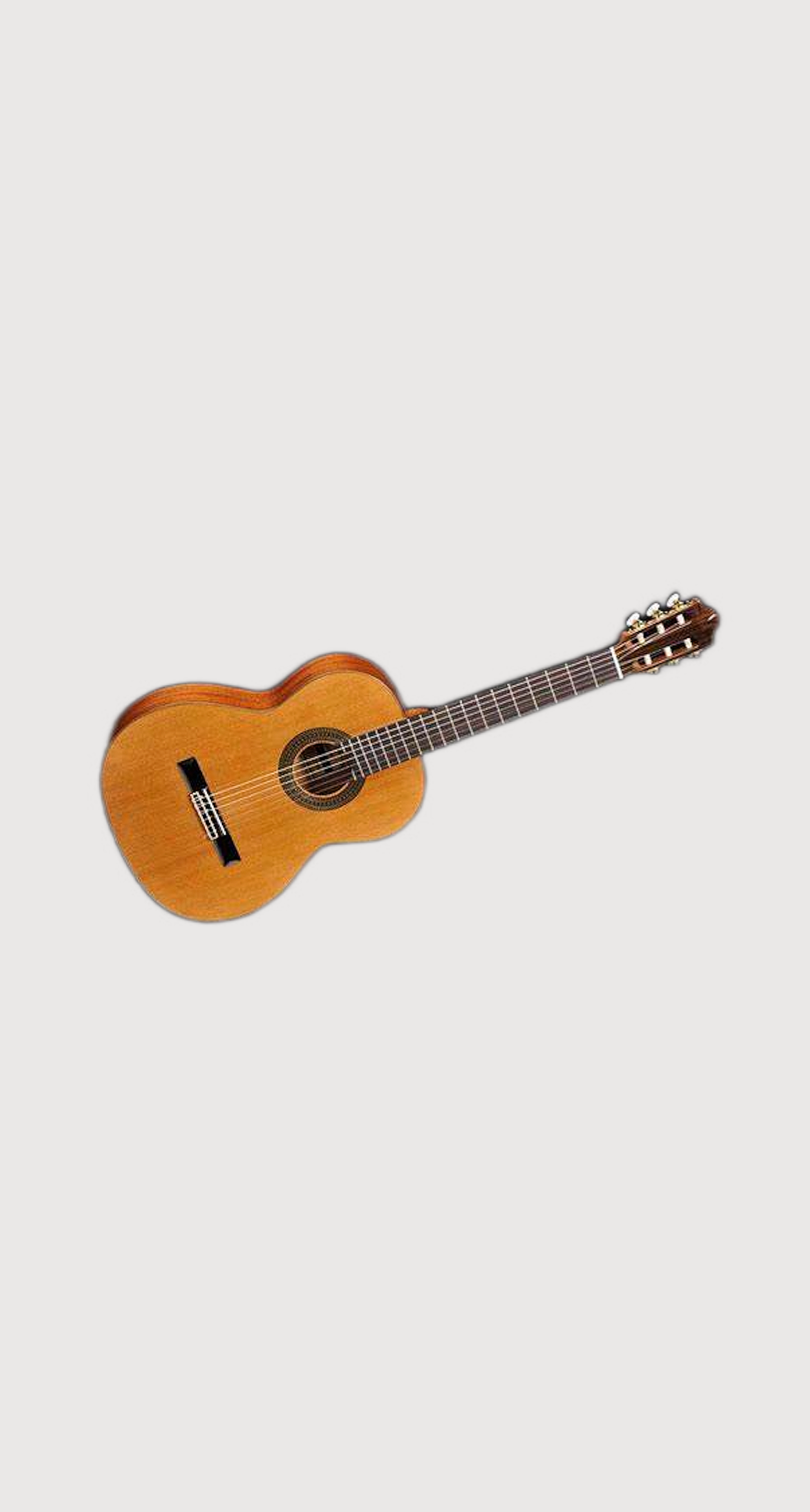 Beginner Guide for Electronic Guitars