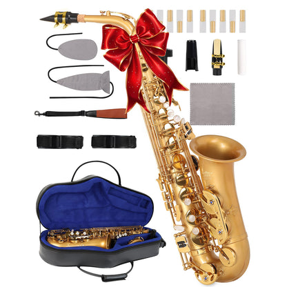 Saxophone CH-FTC
