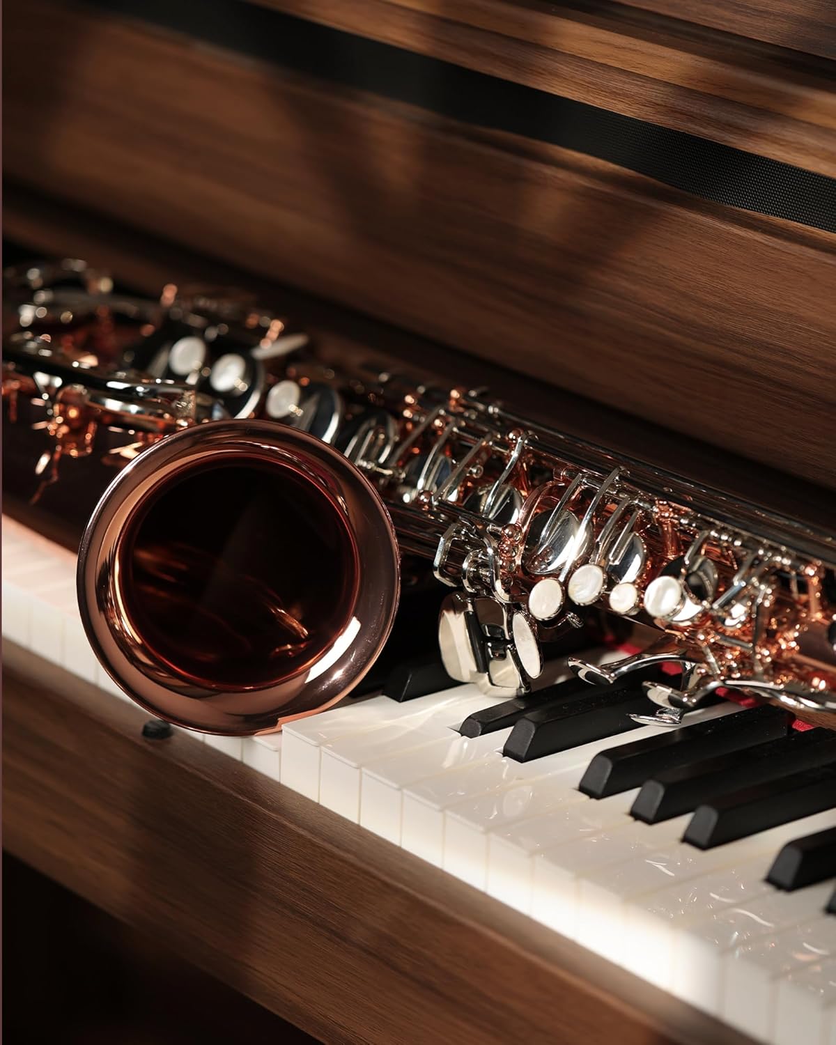 Saxophone CH-FTC