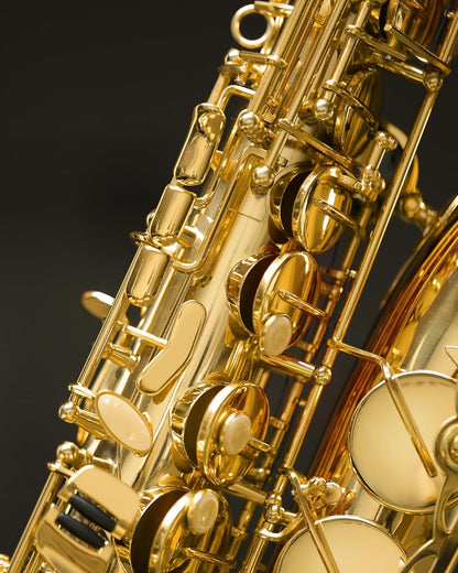 Saxophone BL-SF