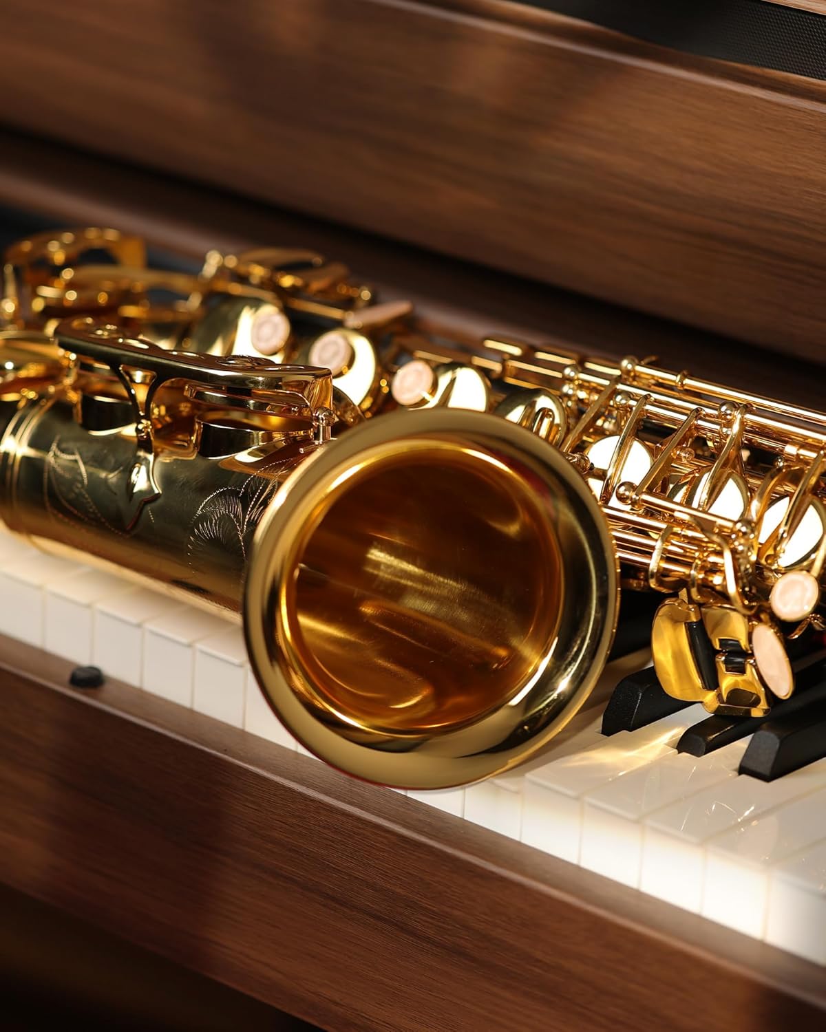 Saxophone BL-SF