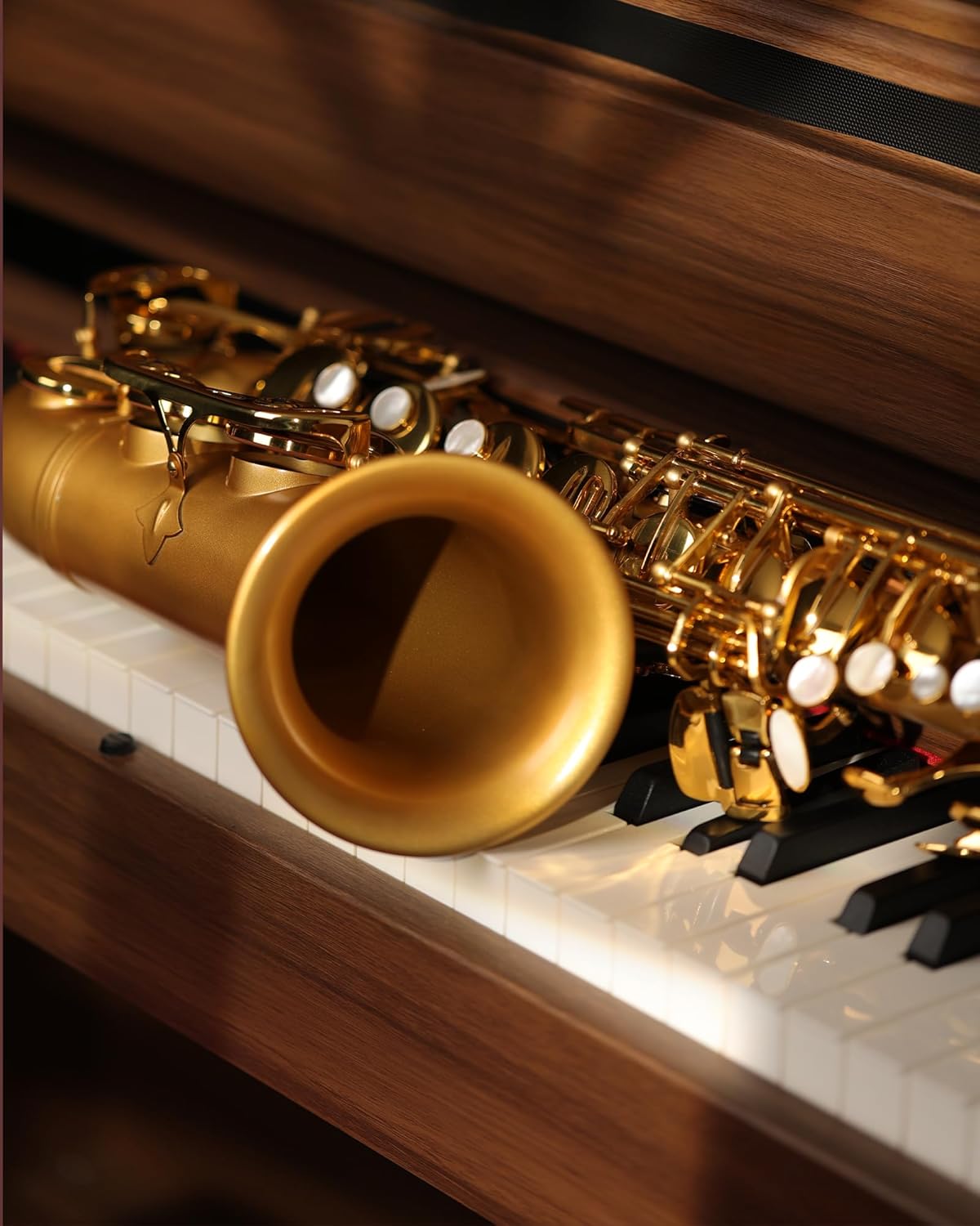 Saxophone CH-EG